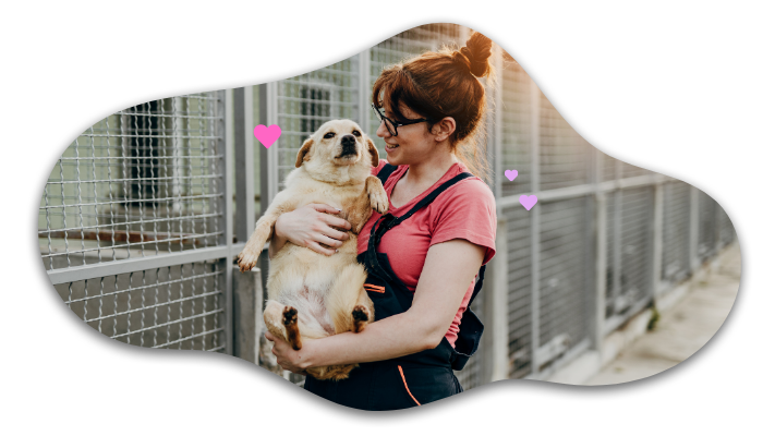  Shelter pet wellness visit with 4Paws Mobile Veterinary Services in Hillsborough, CA