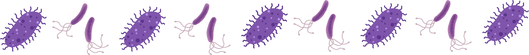 Multiple pet parasites, representing the need for year-round pet parasite prevention with 4Paws Mobile Veterinary Services