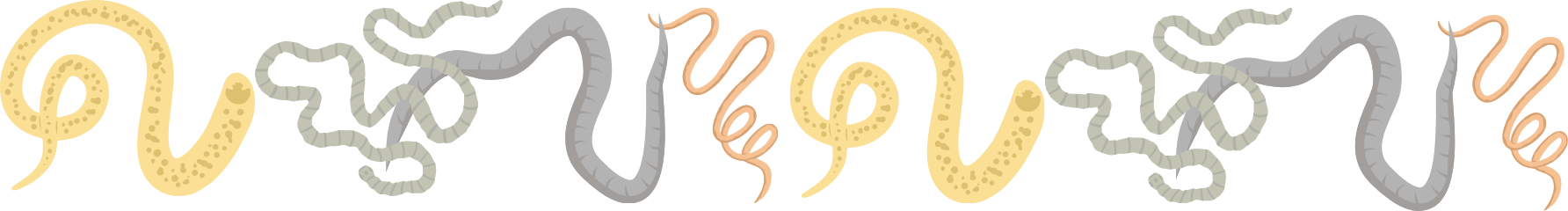 Heartworms and intestinal parasites that need treatment with 4Paws Mobile Veterinary Services