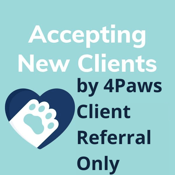 Accepting New Clients-Informative-Banner