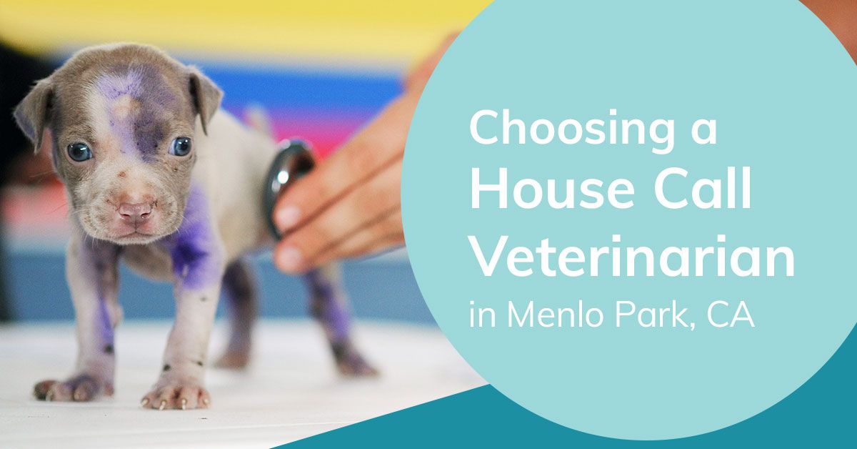 House call veterinarian in Menlo Park, CA